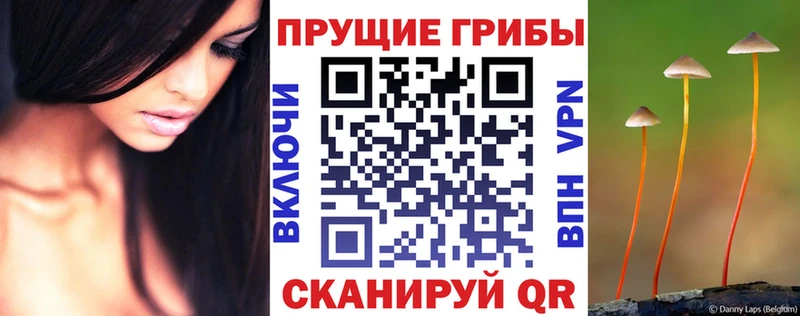 Псилоцибиновые грибы Cubensis  даркнет сайт  Верхняя Салда 